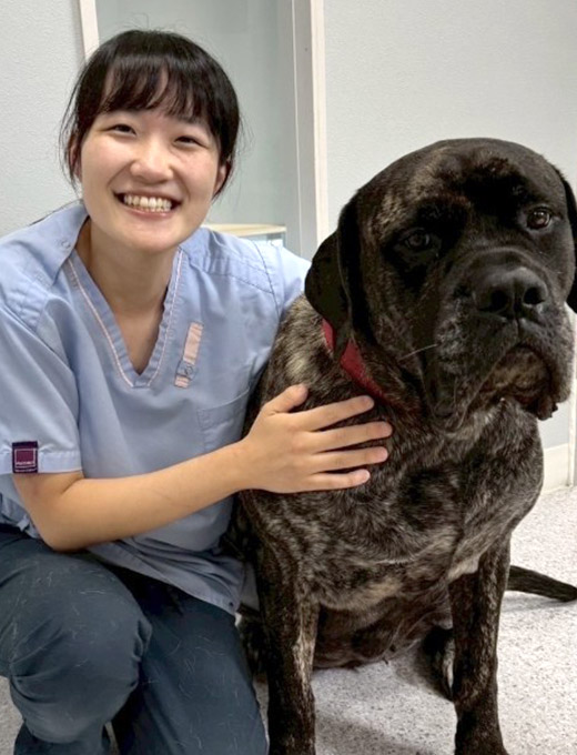 愛玩動物看護師 野口ほのか 写真